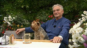 Neue Folgen "Die Schrebergärtner" bei ATV!