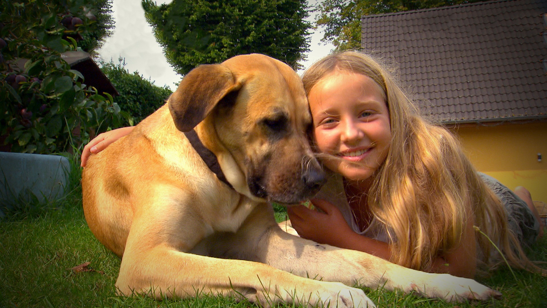 Liebste Fellnasen - Abenteuer Hundeschule