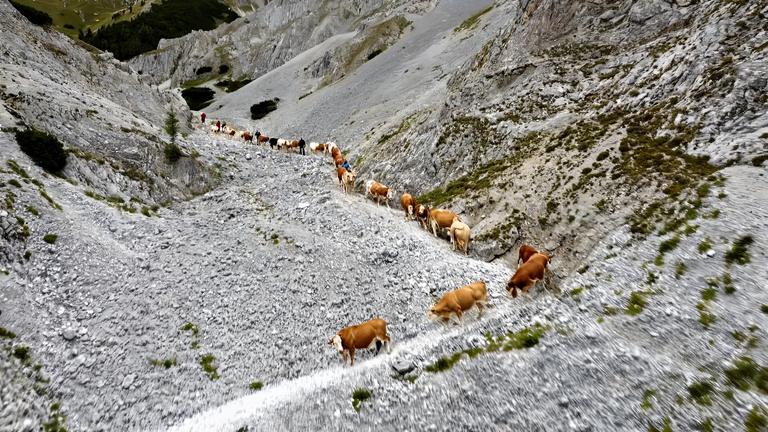 Wenn der Winter durch das Mürztal zieht