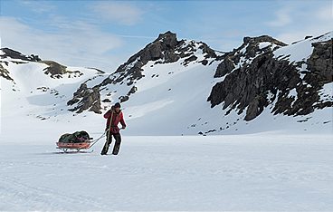 Arctic