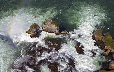 Bodensee - Wildnis am großen Wasser