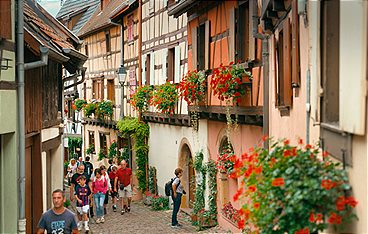 Das Elsass - Eine kulinarische Reise durch das Jahr