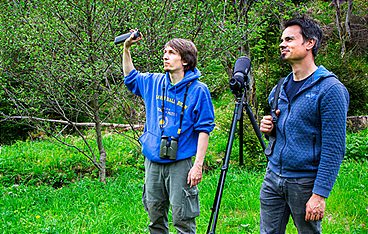 Das Geheimnis der Vögel
