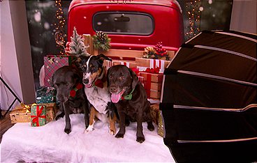 Das Geschäft mit dem guten Gewissen