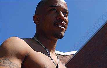 Die Honigfalle - Eine wahre Geschichte über Liebe, Lügen und das FBI