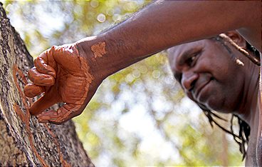 Die sprechenden Felsen der Aborigines