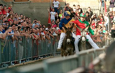 Die Toskana - Zwischen Florenz und Elba