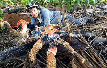 Die Weihnachtsinsel und der Palmendieb