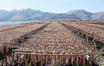 Ein Jahr auf den Lofoten