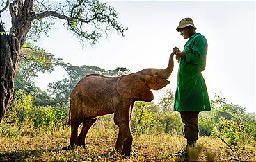 Ein perfekter Planet