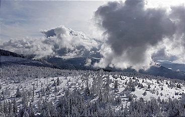 Ein Winter im Schwarzwald