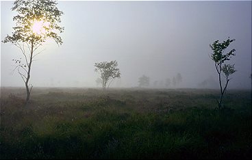 Geheimnisvolle Moorlandschaften