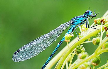 Geheimnisvolle Moorlandschaften