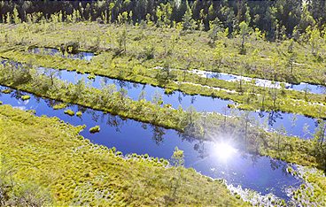 Geheimnisvolle Moorlandschaften