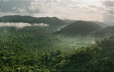 Guyana - Der Weg des Jaguars