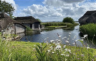 Leben an der Nordsee