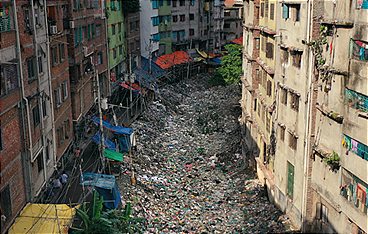 Natur - Die Geschichte unseres Planeten