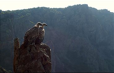 Raue Welten - Wilde Schönheiten: Bulgarien