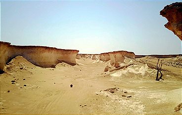 Reiche Nachbarn am Golf - Kuwait, Katar, Bahrain