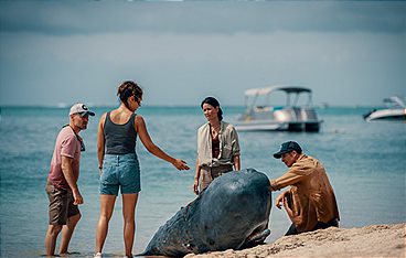 Retter der Meere: Tödliche Strandung