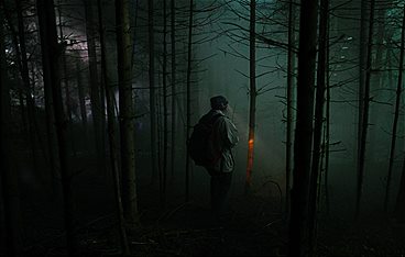 Schweigend steht der Wald