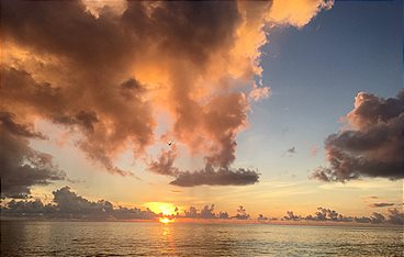 Seychellen - Ein Meer von Farben