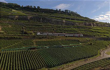 Traumhafte Bahnstrecken der Schweiz: Vom Dreiseenland durch das Lavaux bis nach Genf