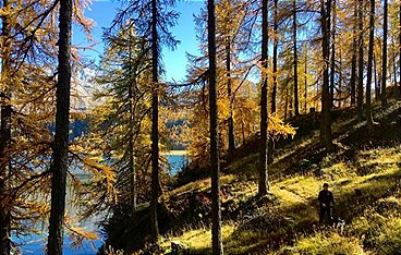 Traumseen der Schweiz: Herbstgeschichten am Wasser