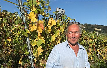 Traumseen der Schweiz: Sommergeschichten am Wasser