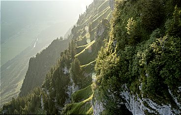 Über Österreich - Die vierte Erkundung: Der Westen