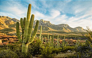 Unser grüner Planet