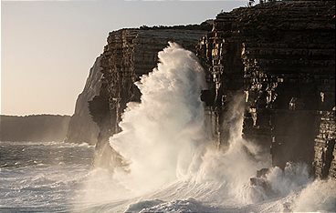 Unsere Erde III: Von Küstenlöwen und furchtsamen Haien