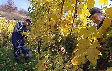 Wachau - Land am Strome