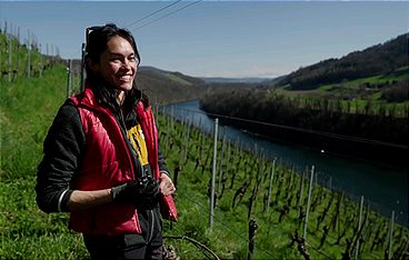 Wein am Rhein