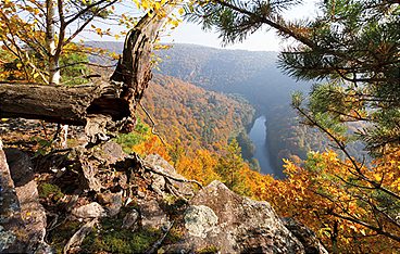 Wildnisse im Herzen Europas - Österreichs Nationalparks