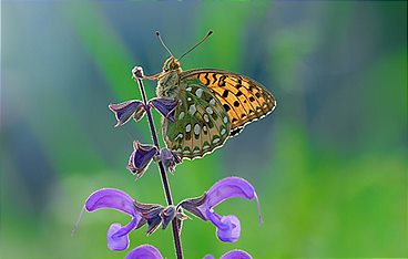 Wunderwelt Schweiz: Das Tessin