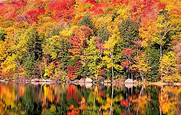 Zauber der Jahreszeiten - Neuengland