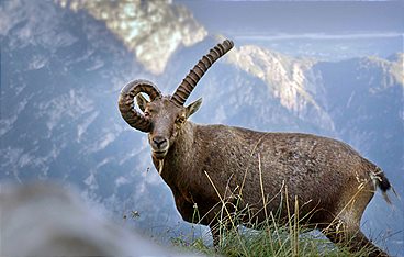 Die Dolomiten - Sommer in den italienischen Alpen