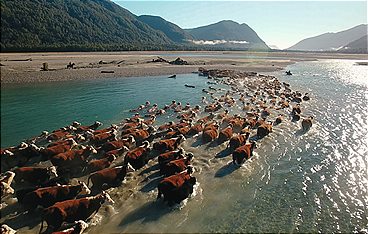 Länder-Menschen-Abenteuer