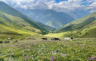 Länder-Menschen-Abenteuer