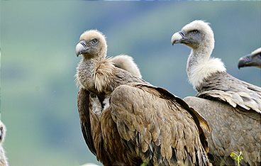 Länder-Menschen-Abenteuer