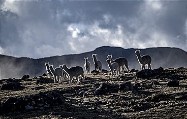Michael Martin - Mit der Kamera um die Welt