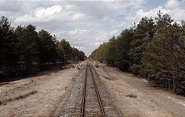 Shlomo - Sehnsucht nach Rache