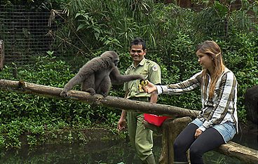 Anna und die wilden Tiere