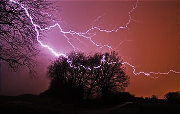 Der Sturm - Tiere bei Blitz und Donner