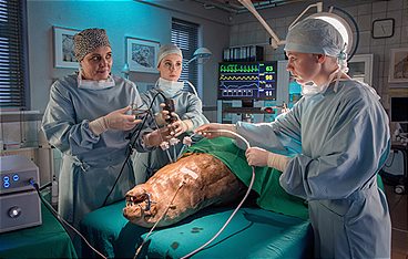 Tierärztin Dr. Mertens