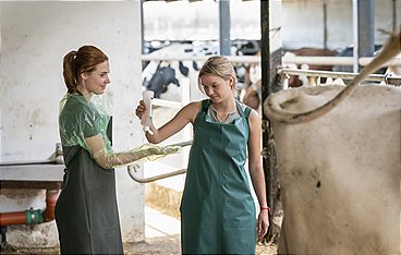 Zwei Frauen für alle Felle