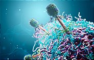 Die Wissenschaft sucht neue Waffen gegen Superkeime, denn neue Antibiotika kommen kaum auf den Markt. Viren ? sogenannte Bakteriophagen ? könnten helfen. Sie töten Superkeime, indem sie ihr Erbgut in das Bakterium schleusen und es letztendlich platzt.