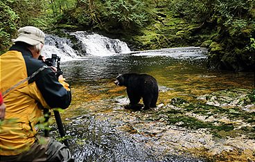 Auf den Spuren der Bären
