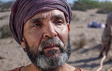 Das Trojanische Pferd